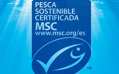 Seafreeze Limited, filial de Grupo Profand, recibe la certificación MSC de pesca sostenible
