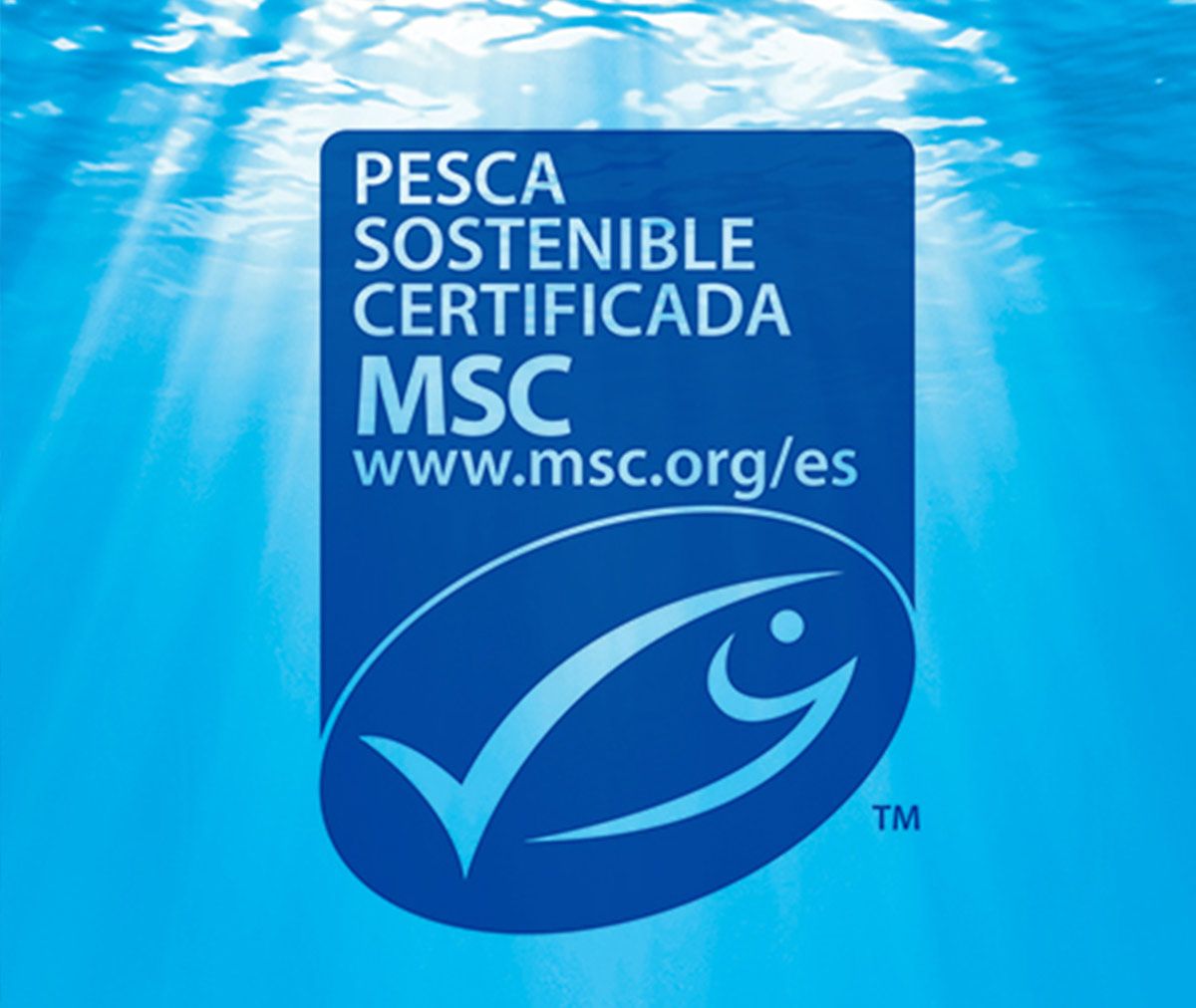 Seafreeze Limited, filial de Grupo Profand, recibe la certificación MSC de pesca sostenible